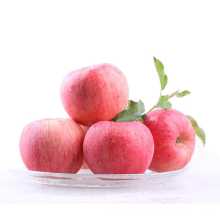 Hot Selling Chinese Newest Crop Fresh Fruit Red Fuji Apple